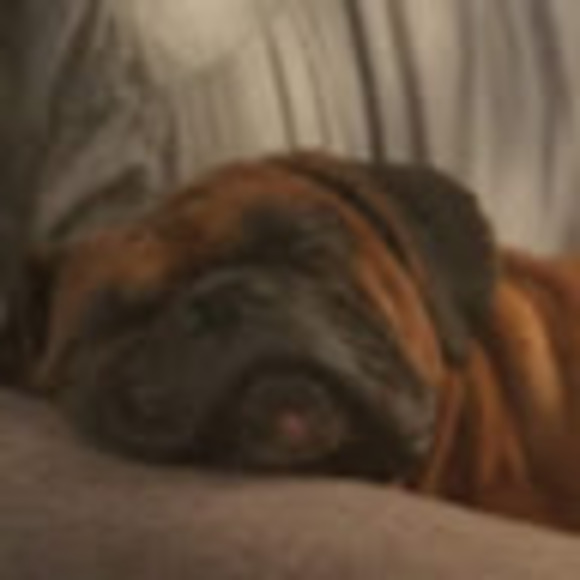 Meet your Posher, Jt - Picture 1 of 1